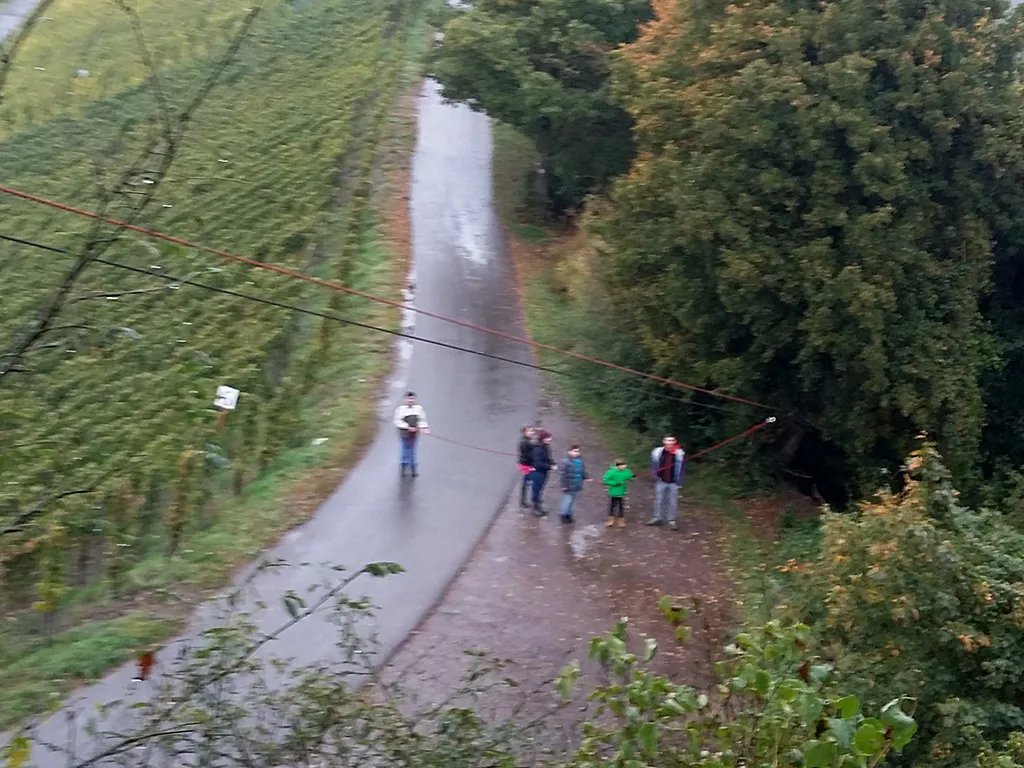 Blick von der Seilrutsche über den Weinberg auf den Weg.
